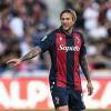 Immagine news Ex viola n.1