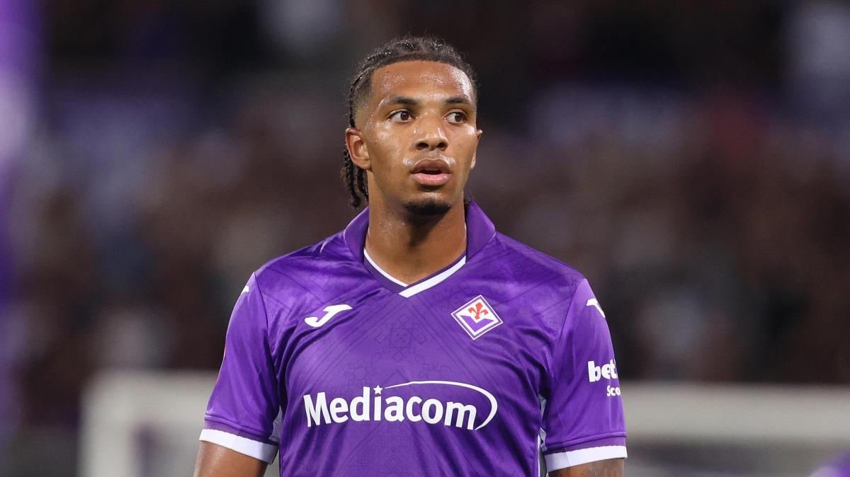 Immagine strip Primo Piano n.2