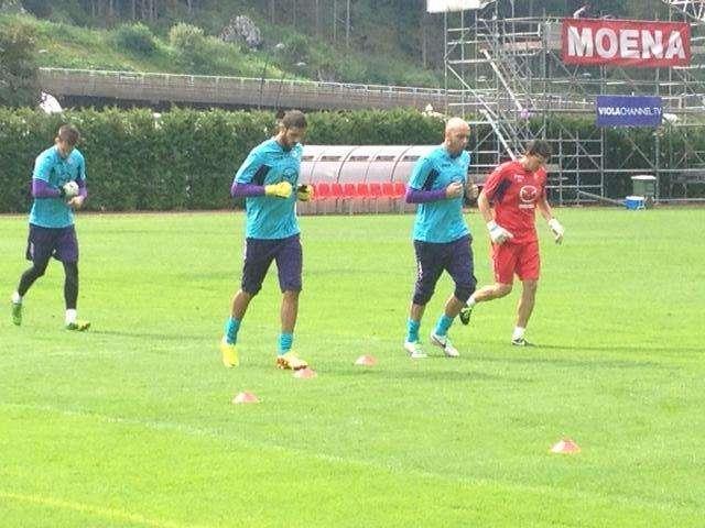 MOENA, Primi viola in campo