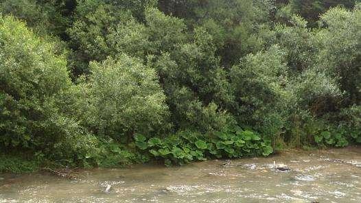 VIDEO FV, Dopo la seduta... tutti in acqua