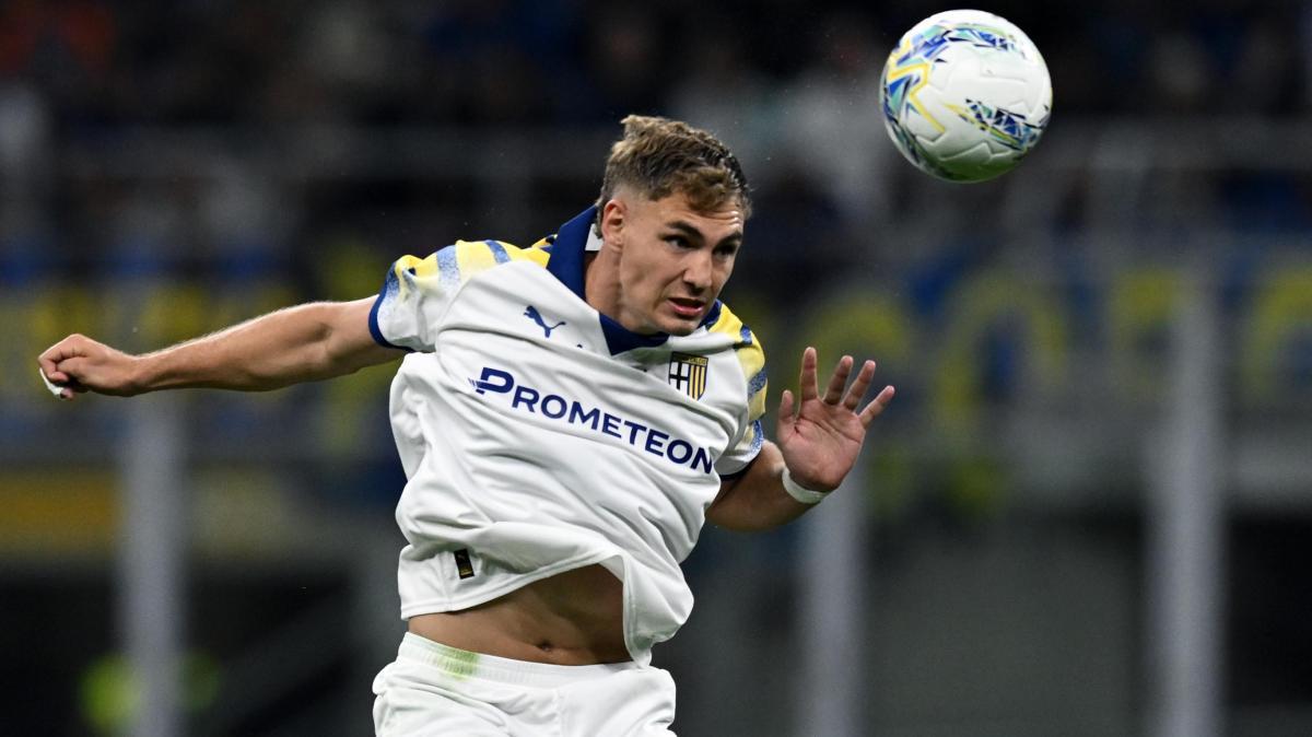 Immagine strip Primo Piano n.2