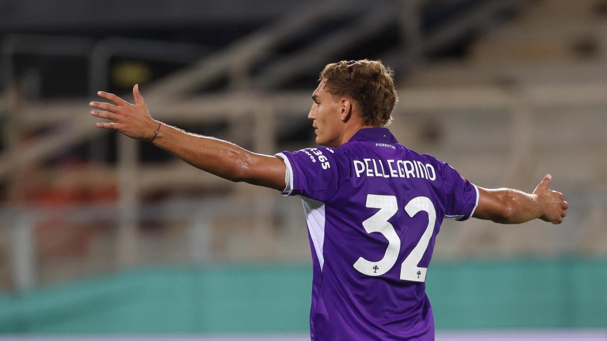 Fiorentina-Pisa 1-0, sempre Pellegrino: l'ex Parma la sblocca da rapace d'area