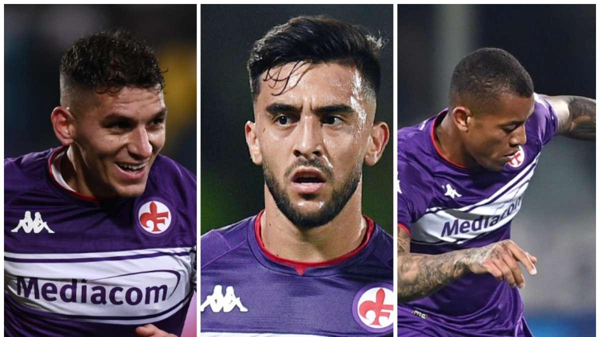 ANIMA SUDAMERICANA