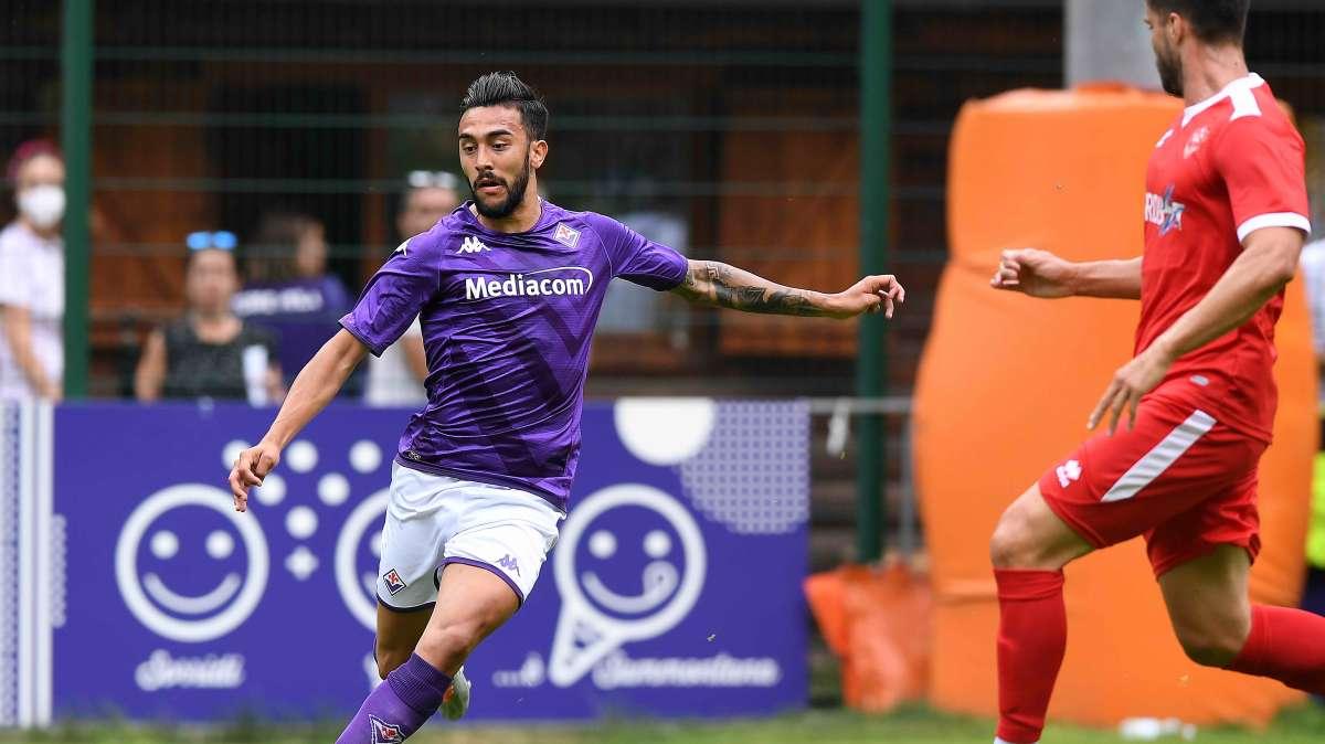 AMICHEVOLI, Ecco dove e come vedere quelle viola