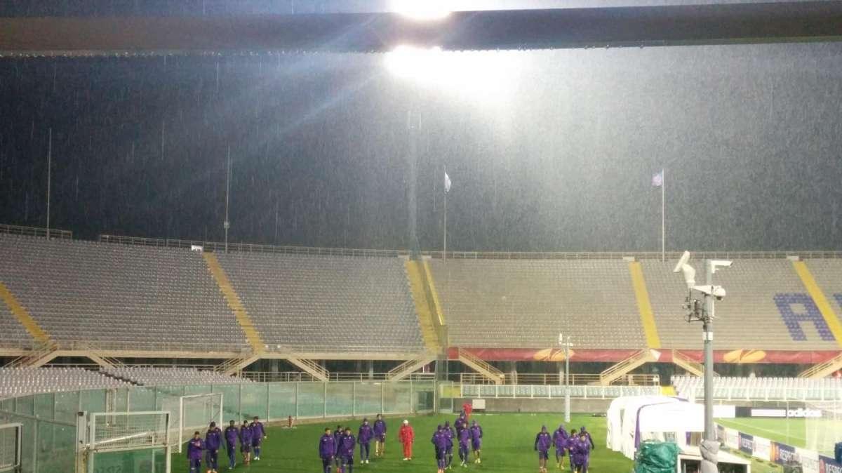 VIDEO FV, Viola sotto la tormenta, Borja a parte