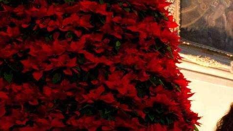 SACCARDI, Lo sport toscano non sarà lasciato solo