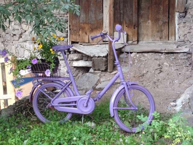MOENA, I viola e la bicicletta portafortuna