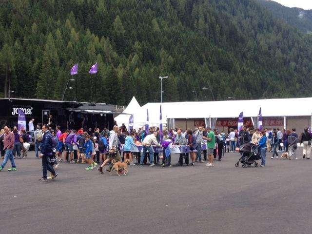 MOENA, Sale l'entusiasmo al viola village