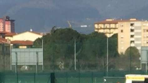 EMP-FIORE, La società viola prende le distanze