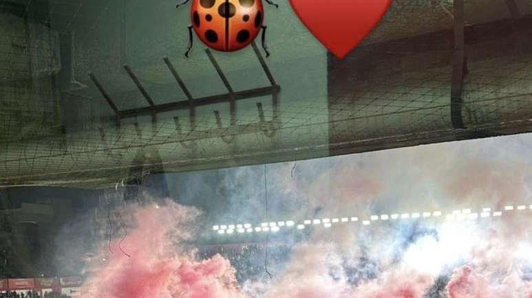 FOTO, Nico a seguire Argentinos Jrs-Defensa y Justicia