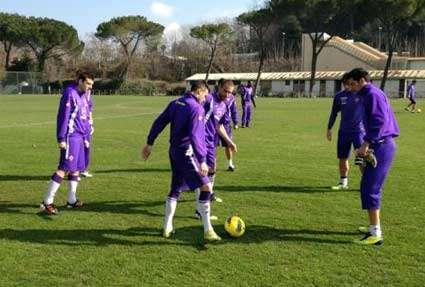 VIOLA, Seduta mattutina presso la Capitale (FOTO)