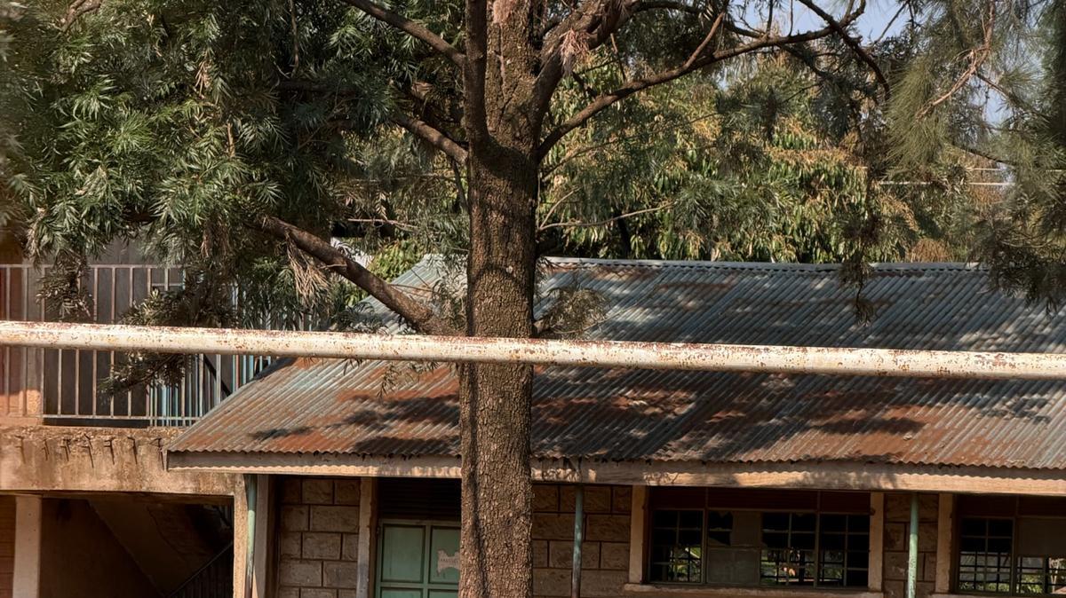 Da Firenze al Kenya: nel cuore della slum di Kisumu nasce una "nuova" Fiorentina