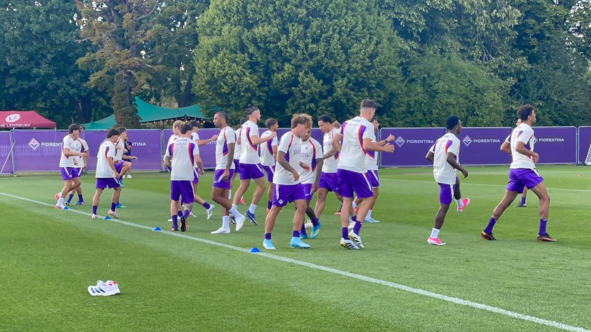 Immagine strip Primo Piano n.2