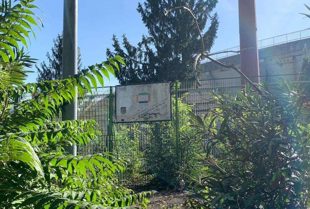 FOTO FV, Futuro Franchi? Non come il Flaminio