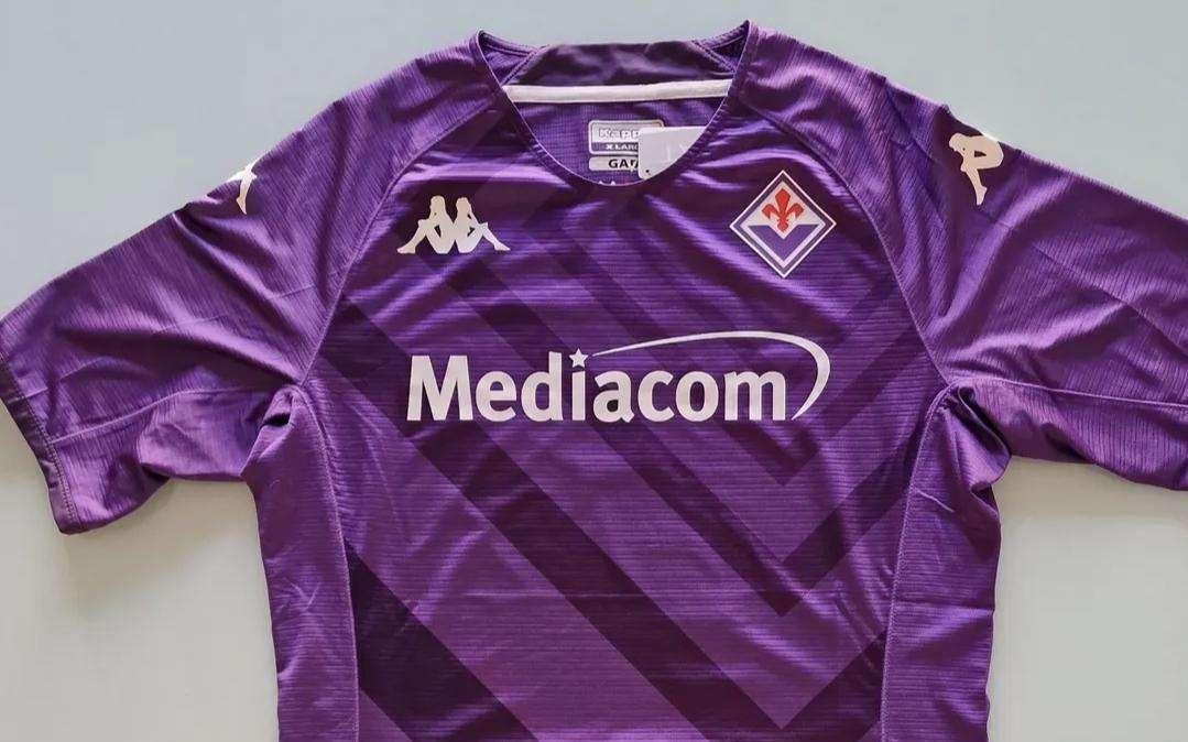 La Maglia Viola, Il nuovo logo e le due finali perse nella stessa stagione