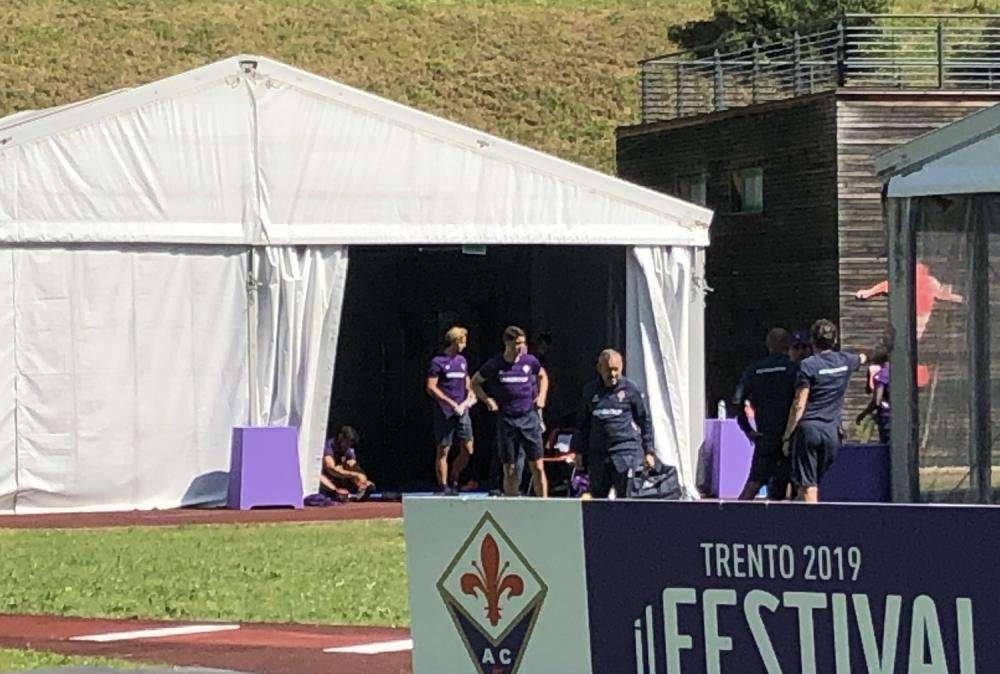 MOENA, Il programma viola di domani
