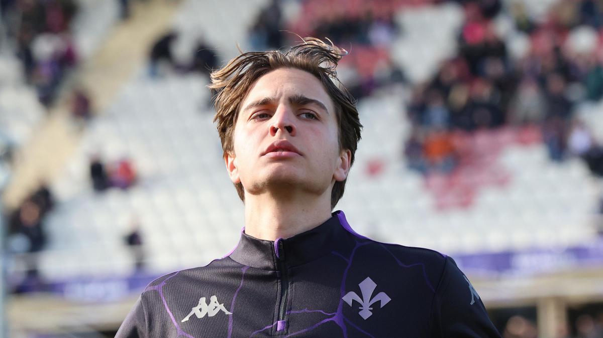 Harder rinnova con la Fiorentina fino al 2029 e opzione per altri tre anni. Poi il Padova