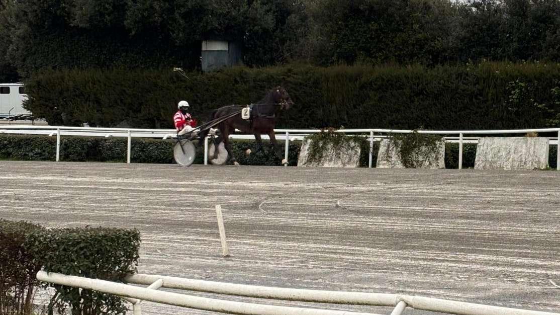 FOTO FV, Boniek all'Ippodromo di Firenze: arriva terzo