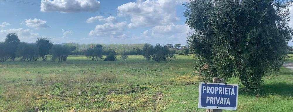 LA FIORENTINA HA TROVATO CASA: OK DELLA REGIONE PER BAGNO A RIPOLI. ADESSO...
