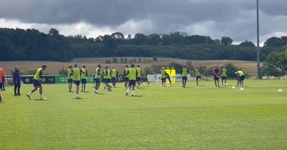 Fiorentina, il programma di oggi in casa viola: doppia seduta al St. George's Park