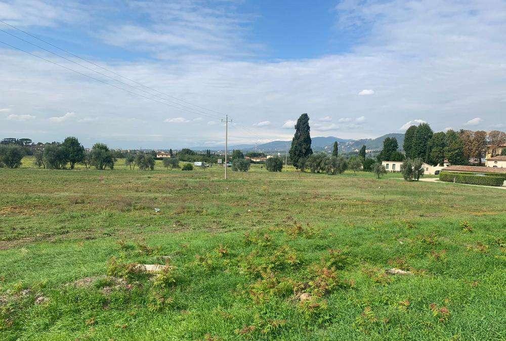 VIDEO, I terreni dove sorgerà la nuova casa dei viola