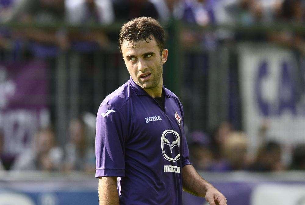 FIORE-APOLLON, La "Meraviglia" di Pepito