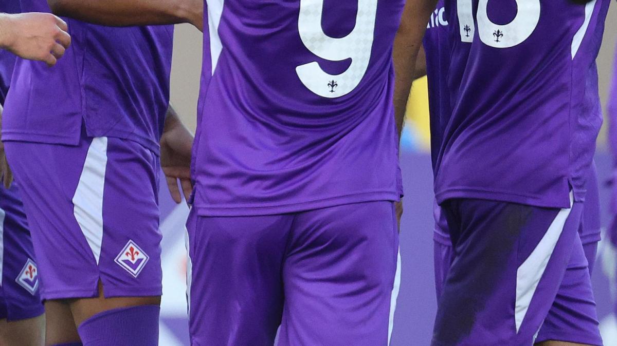 Primo successo per l'Under-17: i baby viola hanno superato 2-1 il Frosinone