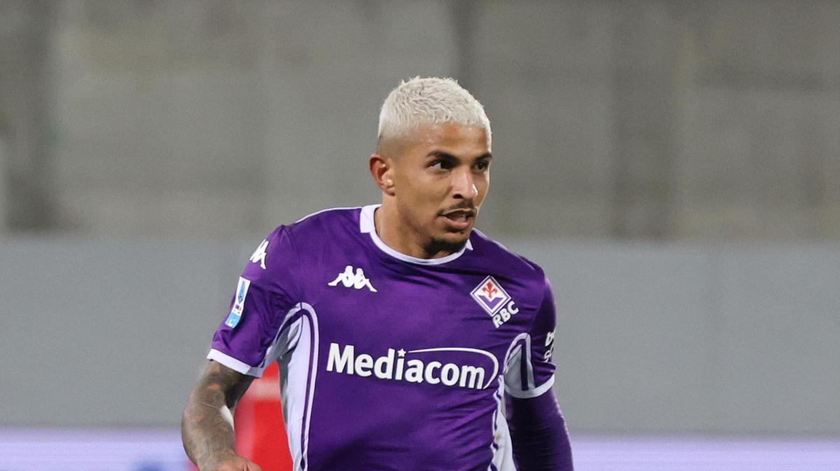 Viola stamattina in campo. Ancora a parte Dodo, Fortini e Mandragora: obiettivo Verona