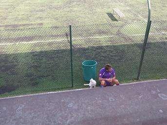 S. PIERO A SIEVE, Frey e il gatto