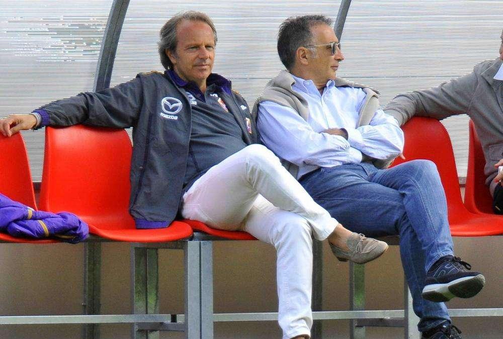 DALL'INGHILTERRA, Viola dimenticati dalla proprietà
