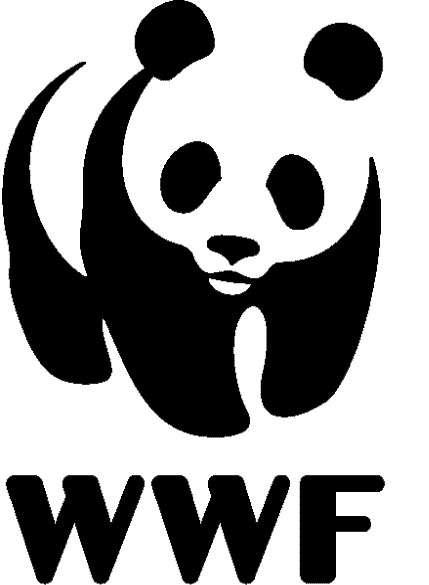 "OCCHI PUNTATI SU..." Un panda di nome Donadel