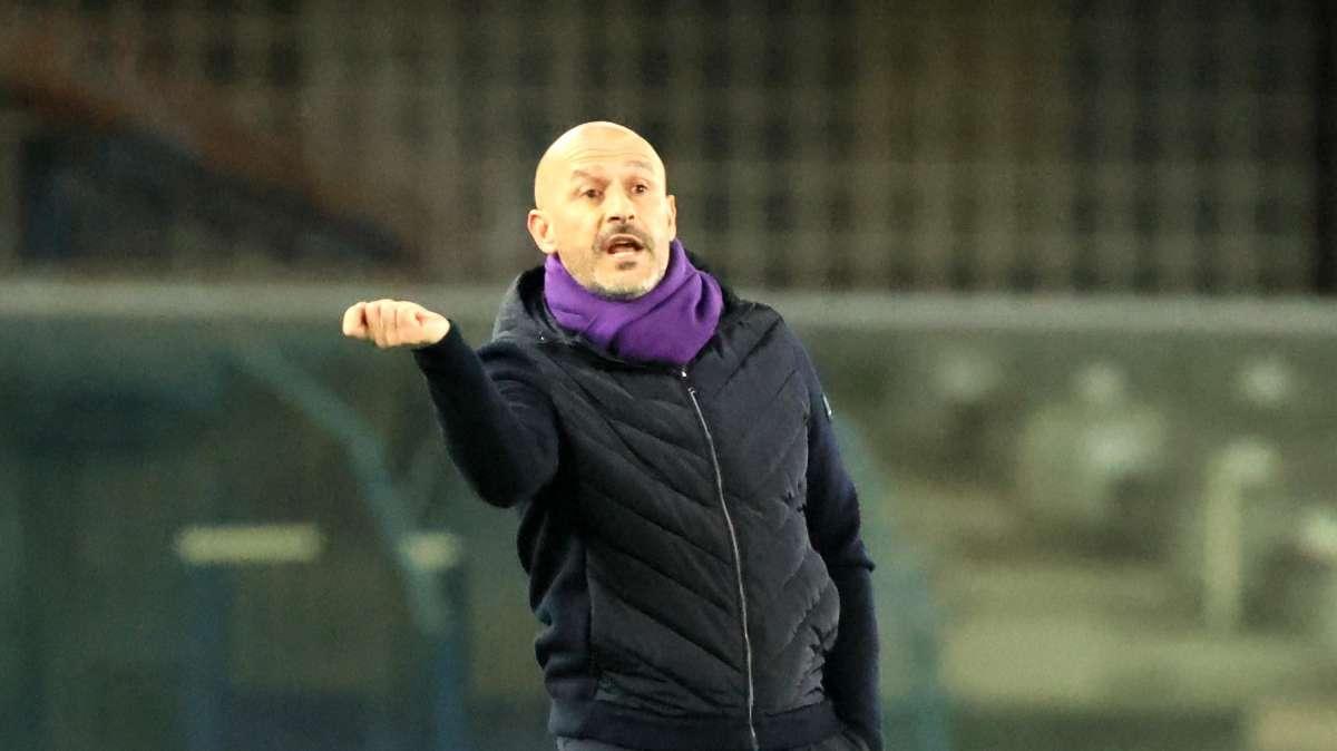 ITALIANO (S. ST.), Stiamo crescendo: guardate Dodò 