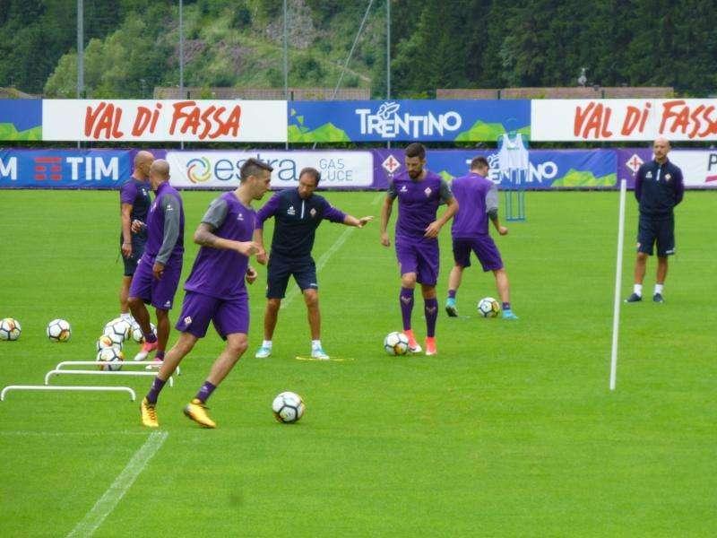 VIDEO FV, Esercizi con gli ostacoli per i viola