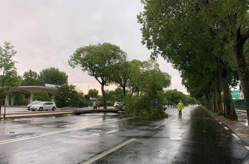 LAMMA, Ecco le previsioni per Fiorentina-Twente