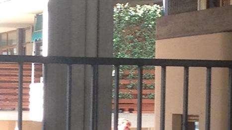 LJAJIC, In sede col padre, incontra Mencucci