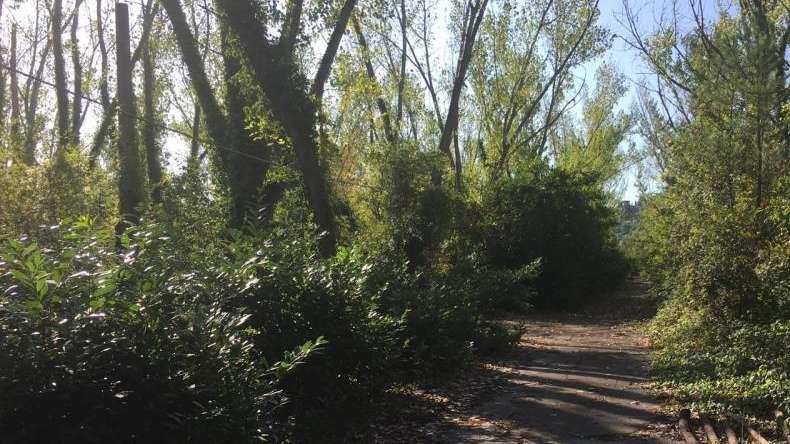 FOTO FV, NUOVO C.S.: ECCO COM'È OGGI L'AREA SCELTA