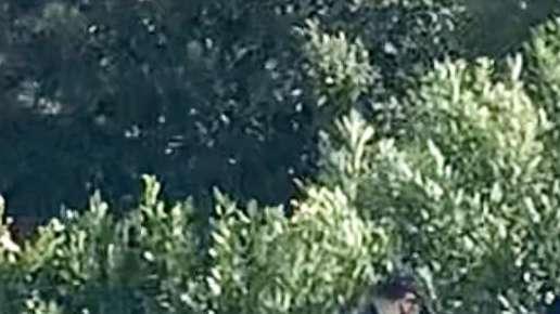 FOTO-VIDEO FV, Barreca al Cs: tampone e firma