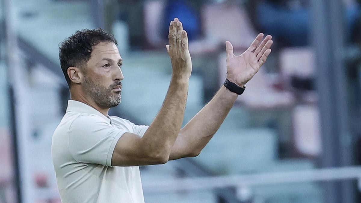 Giudice sportivo, un turno di squalifica a Gaetano e due a tecnico Tedesco