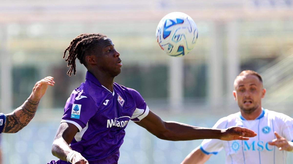 "Viola, una pianta appariscente ma ancora piuttosto acerba": la lettura del Corriere Fiorentino