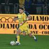 Genoa, Fini e Calvani tornano in prestito al Frosinone
