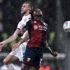 Genoa, Norton-Cuffy vicino all'Hull City, cade la possibilità Venezia?