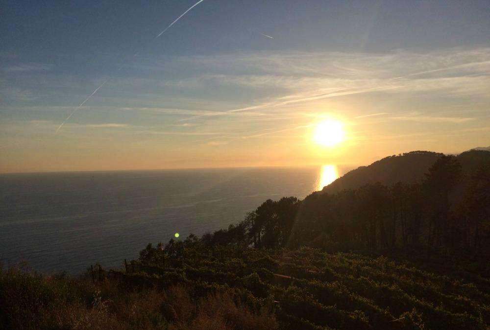 Il buongiorno