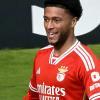 Immagine news Calciomercato n.1