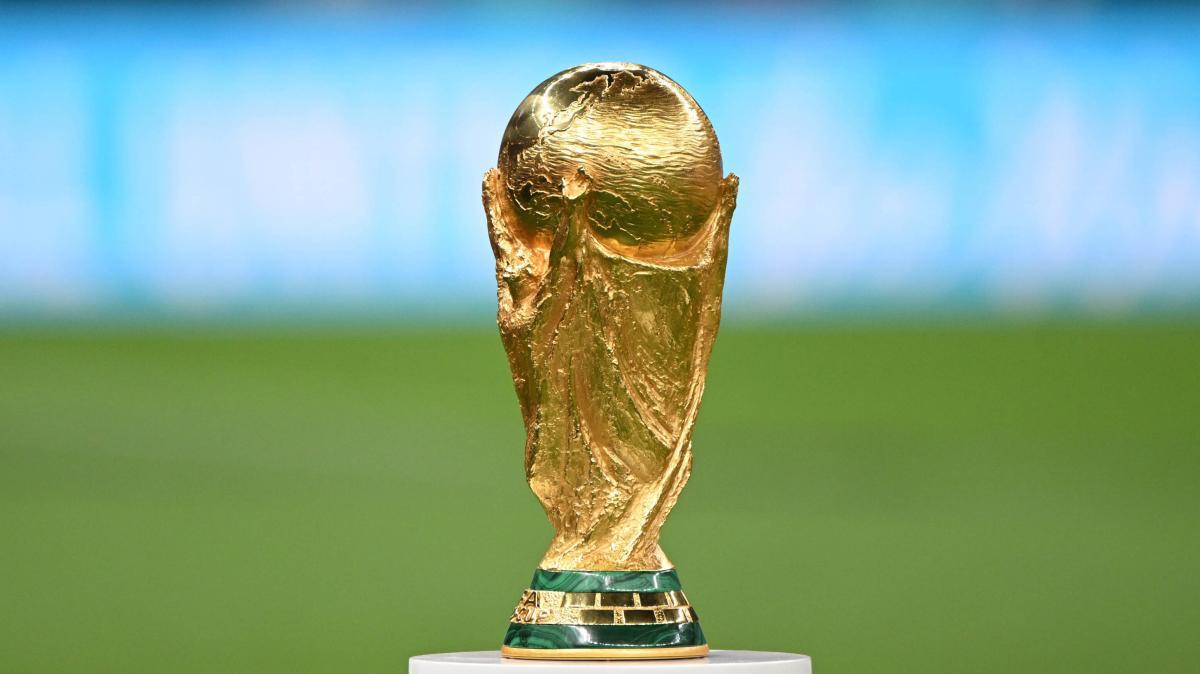 Mondiali, il Presidente della Commissione Disciplinare FIFA fa chiarezza sul caso Balogun