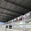 Trapani-Reggina: le formazioni ufficiali del match