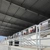 Trapani-Reggina a porte chiuse: niente tifosi al “Cardinale” di Capaci