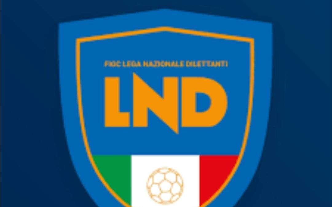 UNDICESIMA GIORNATA : Cittanova, che botta! Lamezia Terme corsaro. Il derby al Rende. San Luca, quattro schiaffi. 