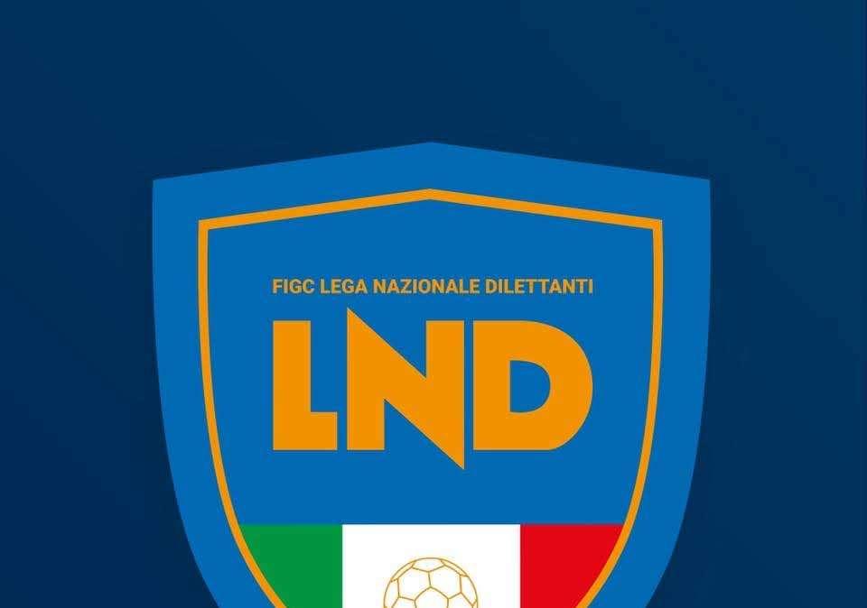 Serie D, indagine su flussi sospetti di scommesse nel girone I
