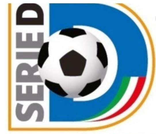 Serie D - 3^giornata : Colpo Castrovillari a Lamezia Terme. Bene il San Luca. Primo punto per il Rende 