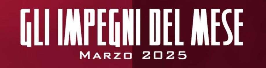 Reggina, marzo di impegni: quattro sfide tra casa e trasferta